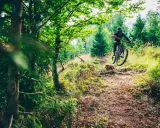 Rowerzysta w kasku skacze na trasie w bike park szczyrk. Leśna ścieżka pełna zieleni i słońca.
